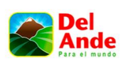 Logo de Del Ande